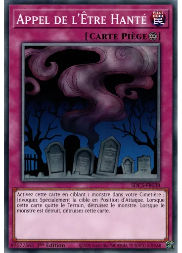 Appel de l'Être Hanté