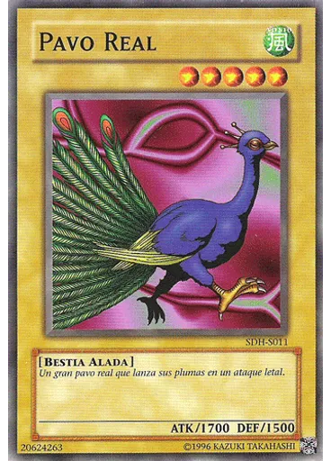 Pavo Real