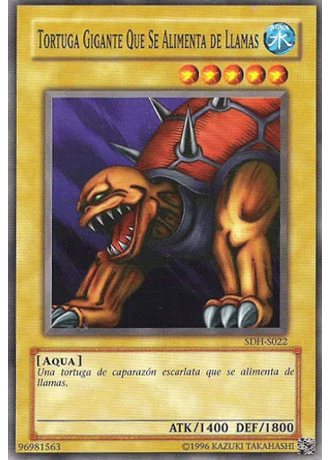 Tortuga Gigante Que Se Alimenta de Llamas