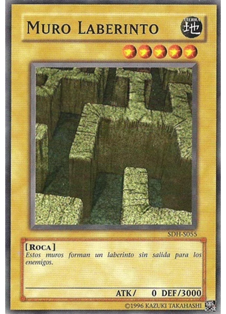 Muro Laberinto