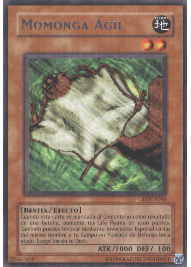 Momonga Ágil (Rare Unlimited)