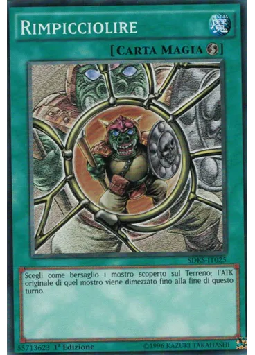 Rimpicciolire