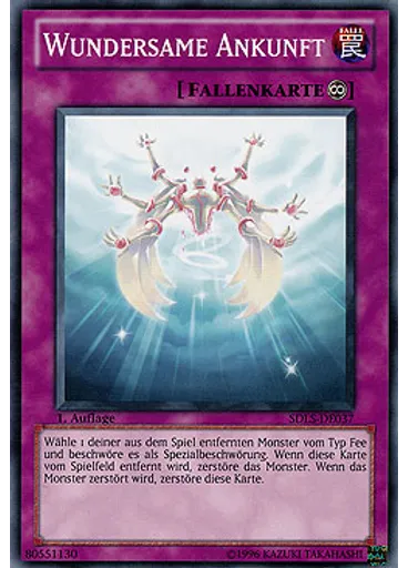 Wundersame Ankunft