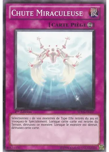 Chute Miraculeuse