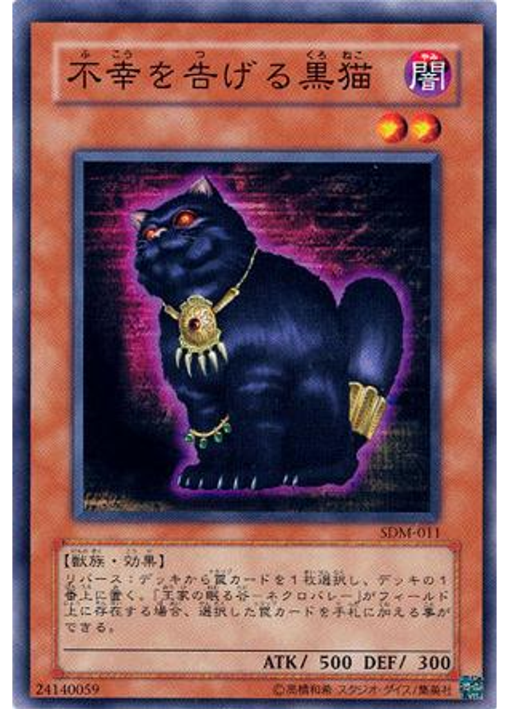不幸を告げる黒猫