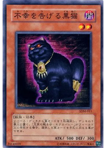 不幸を告げる黒猫