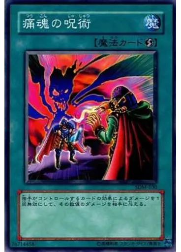痛魂の呪術