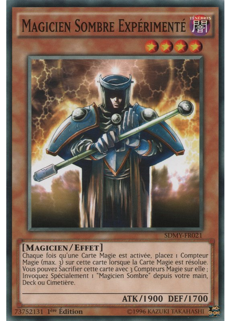 Magicien Sombre Expérimenté