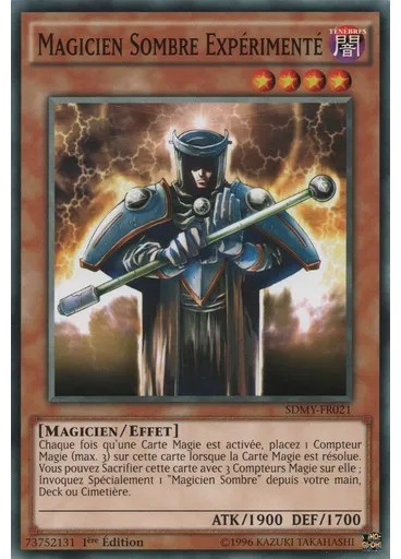 Magicien Sombre Expérimenté