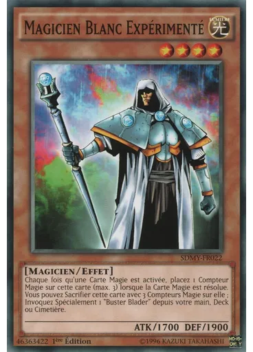 Magicien Blanc Expérimenté