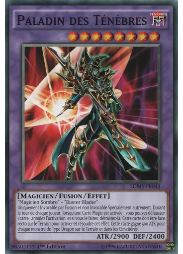 Paladin des Ténèbres