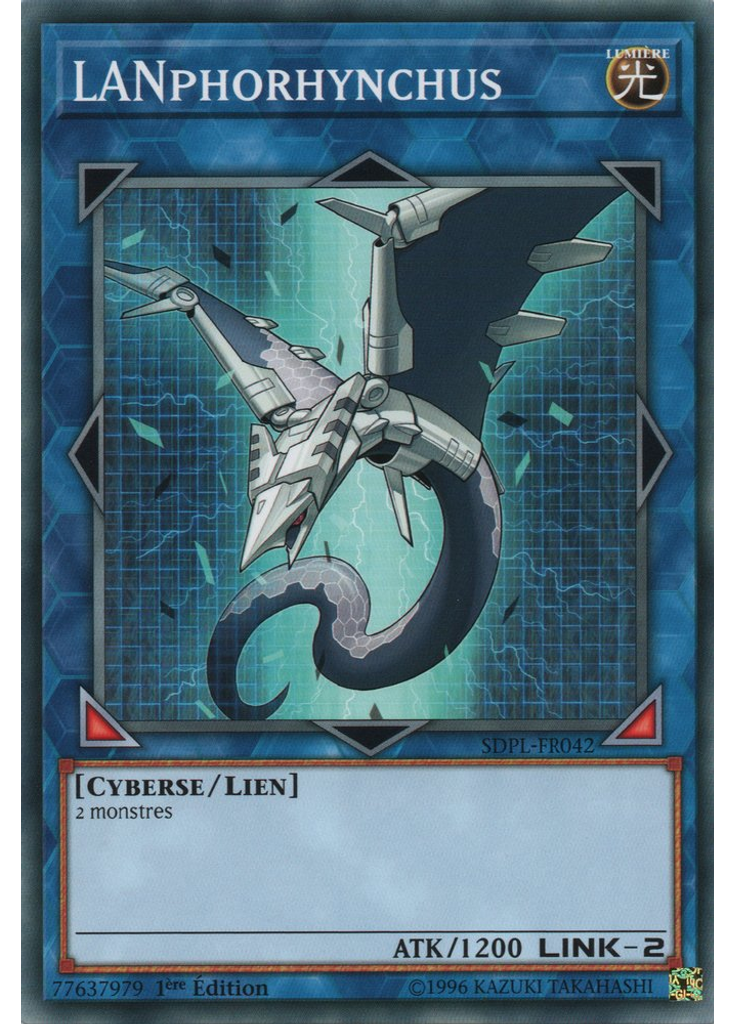 LANphorhynchus