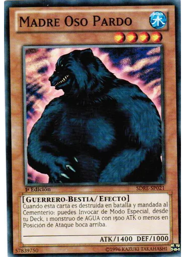 Madre Oso Pardo