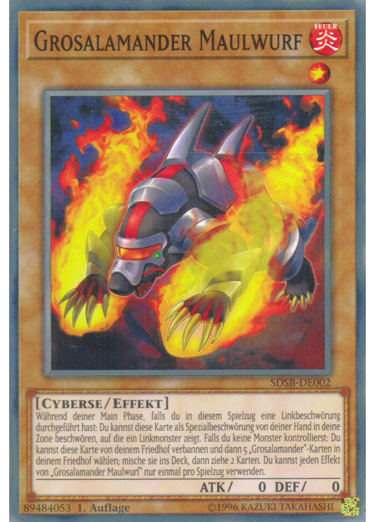 Grosalamander Maulwurf