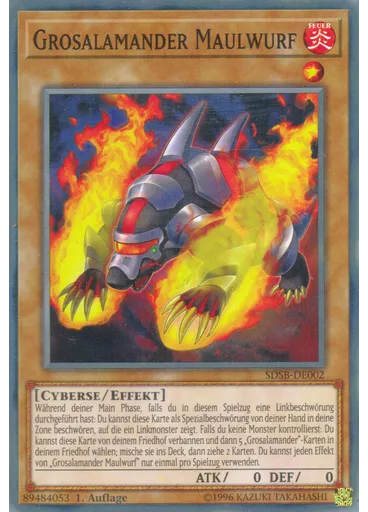 Grosalamander Maulwurf