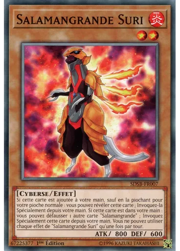 Salamangrande Suri