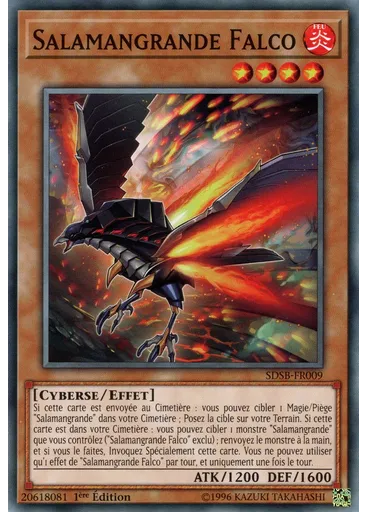 Salamangrande Falco