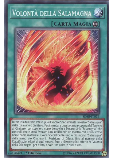 Volontà della Salamagna