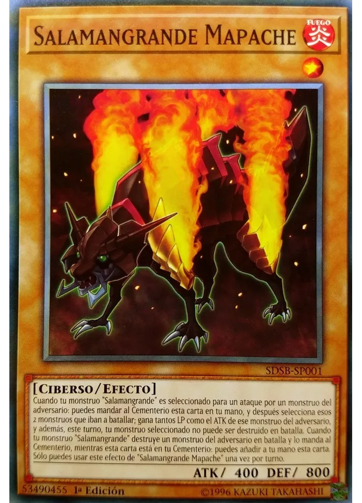 Salamangrande Mapache