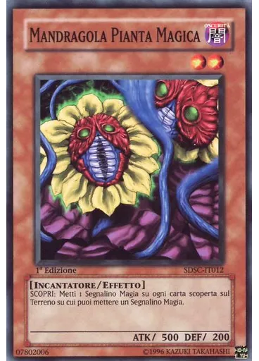 Mandragola Pianta Magica