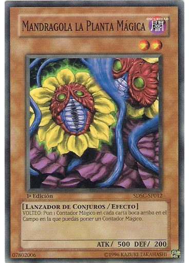 Mandragola la Planta Mágica