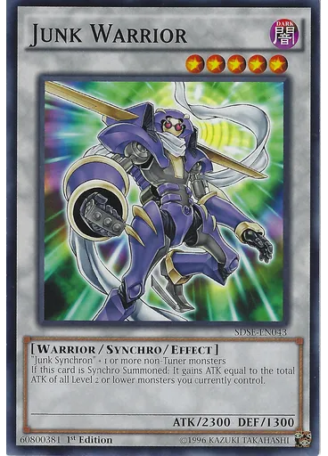 Junk Warrior