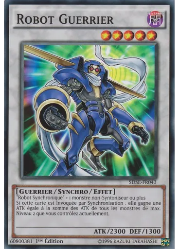 Robot Guerrier
