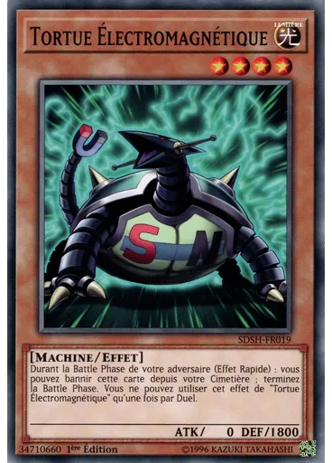 Tortue Électromagnétique