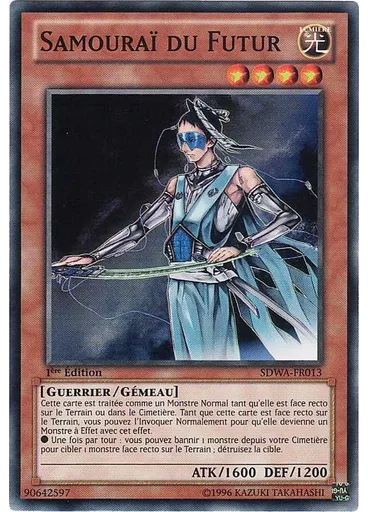 Samouraï du Futur
