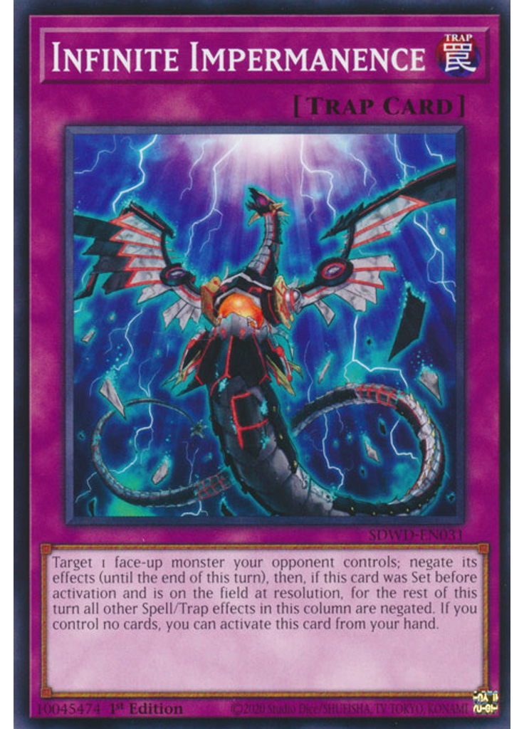 Infinite Impermanence