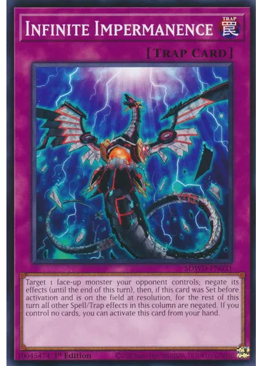 Infinite Impermanence