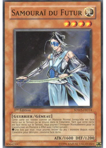 Samouraï du Futur
