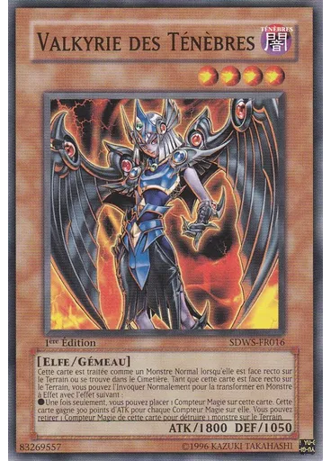 Valkyrie des Ténèbres