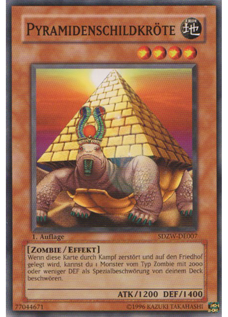 Pyramidenschildkröte