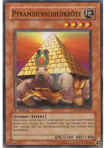Pyramidenschildkröte