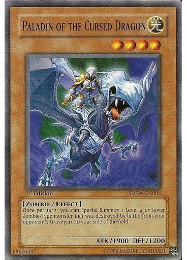 Paladin of the Cursed Dragon