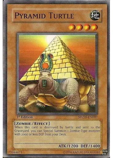 Pyramid Turtle