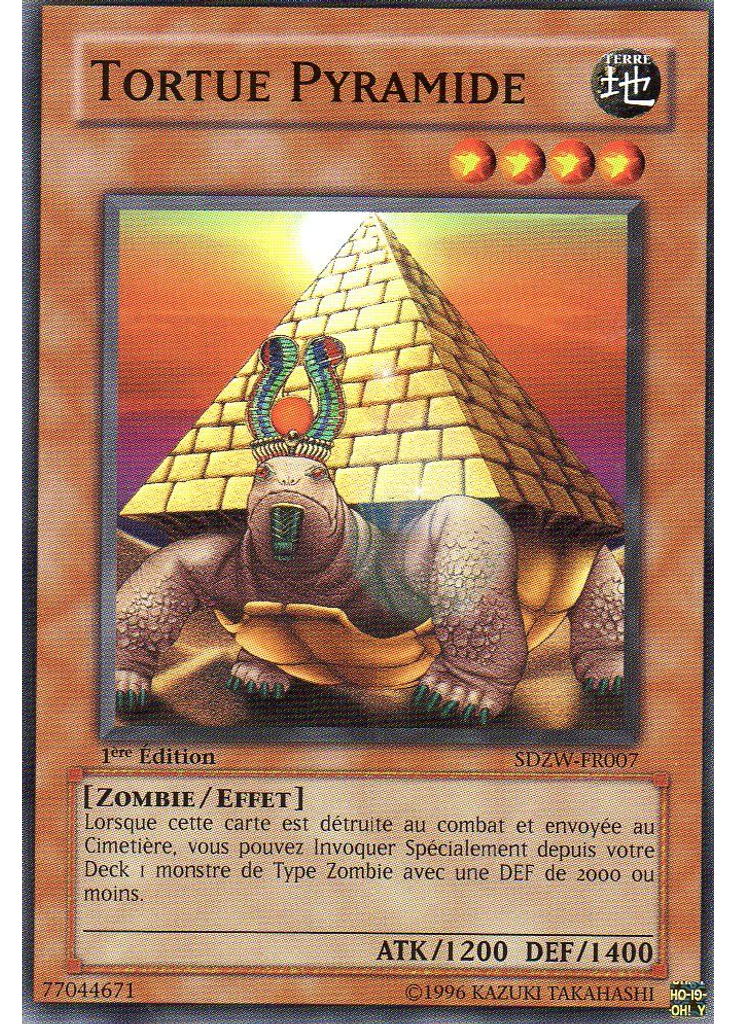 Tortue Pyramide