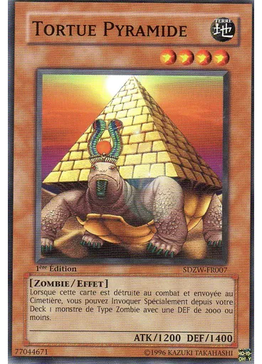 Tortue Pyramide