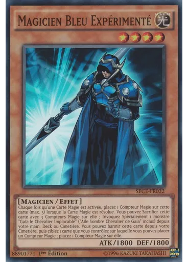 Magicien Bleu Expérimenté
