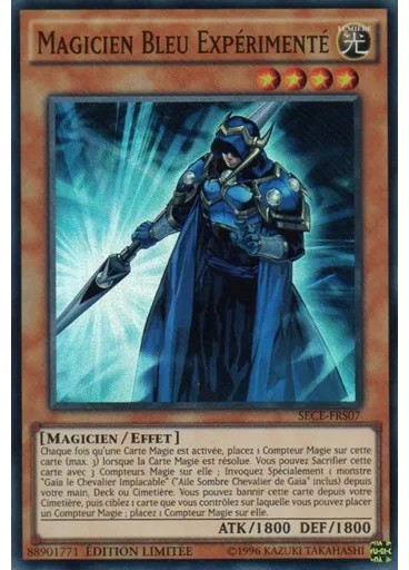 Magicien Bleu Expérimenté