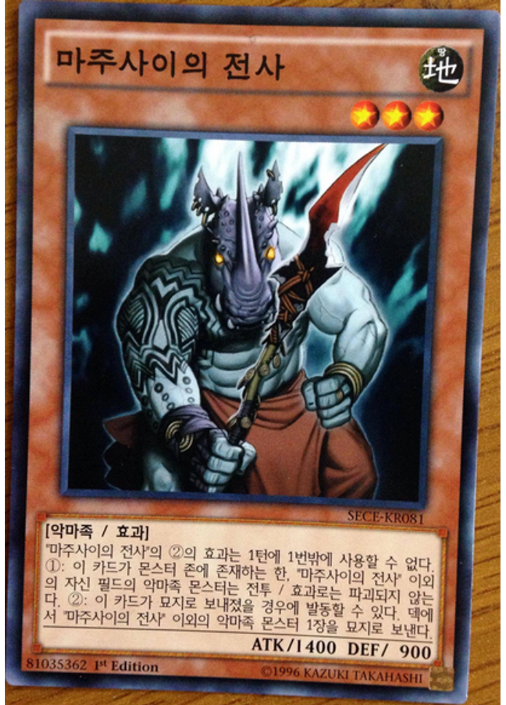 마주사이의 전사