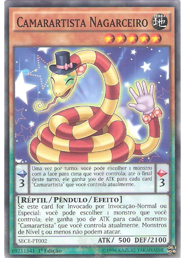 Camarartista Nagarceiro