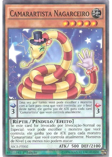 Camarartista Nagarceiro