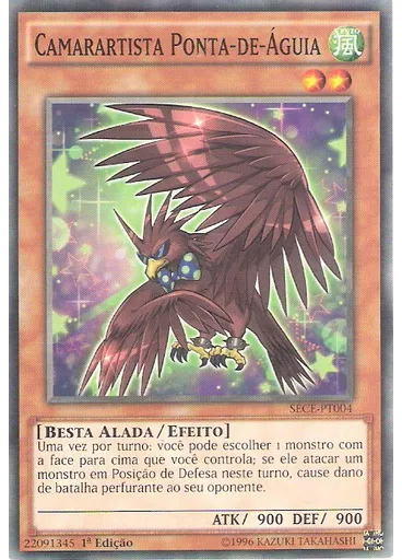Camarartista Ponta-de-Águia