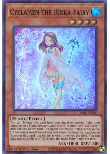 Cyclamen the Rikka Fairy