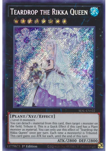 Teardrop the Rikka Queen