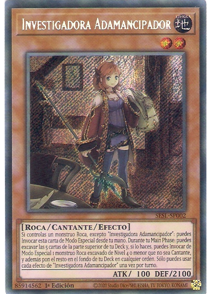 Investigadora Adamancipador