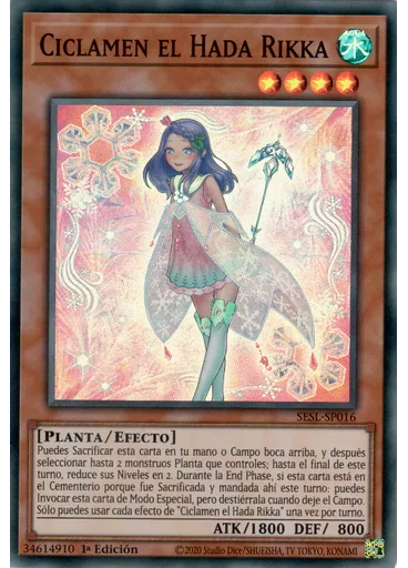 Ciclamen el Hada Rikka