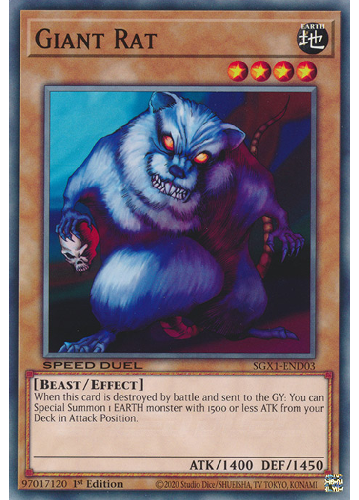 Giant Rat